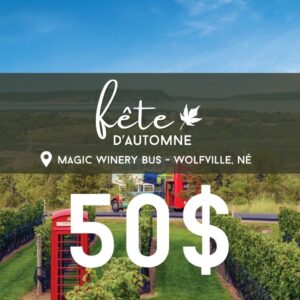 Billet pour 1 personne - Magic Winery Bus